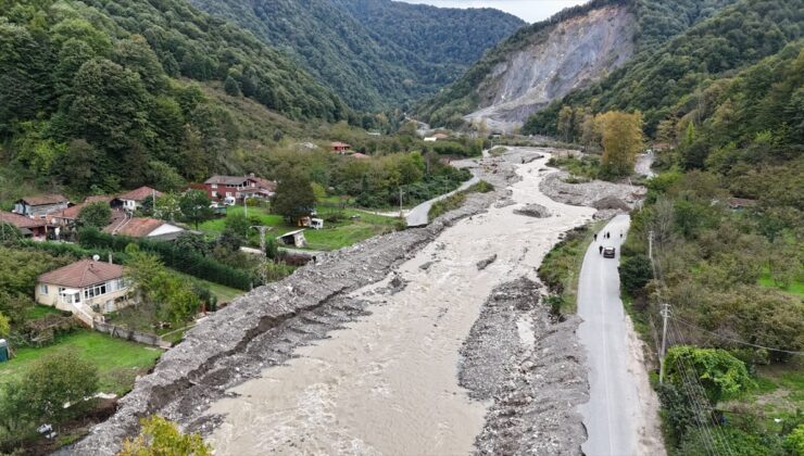 Zonguldak’ta sağanak sonrası heyelan iki köpeğin ölümüne neden oldu